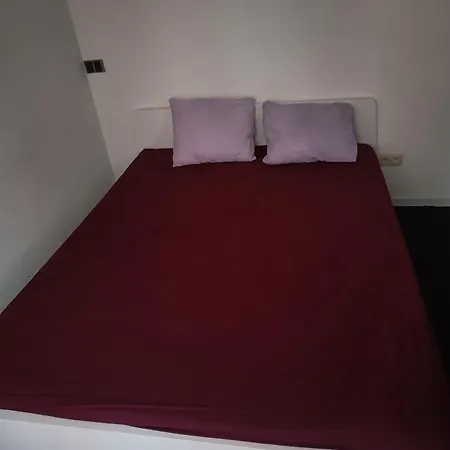 Hostal Viktoria *